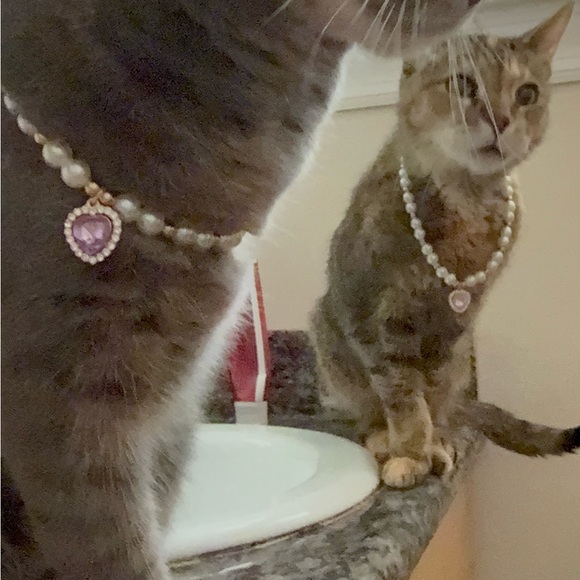 LIZA IS LIVE AND ON FIYAAAA!!! - Picture 8 of 10